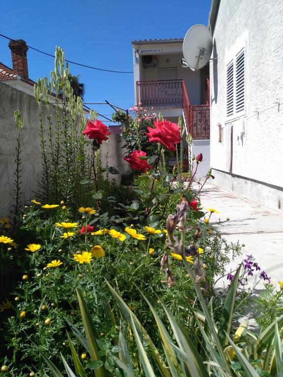 Apartment Cvita Biograd na Moru Kültér fotó